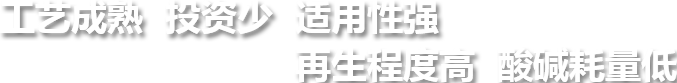 工藝成熟投資少適用性強再生程度高酸堿耗量低