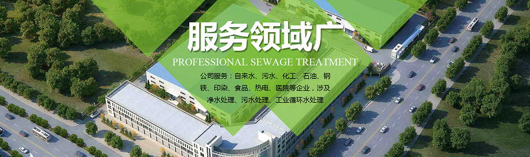 客戶見證 客戶見證